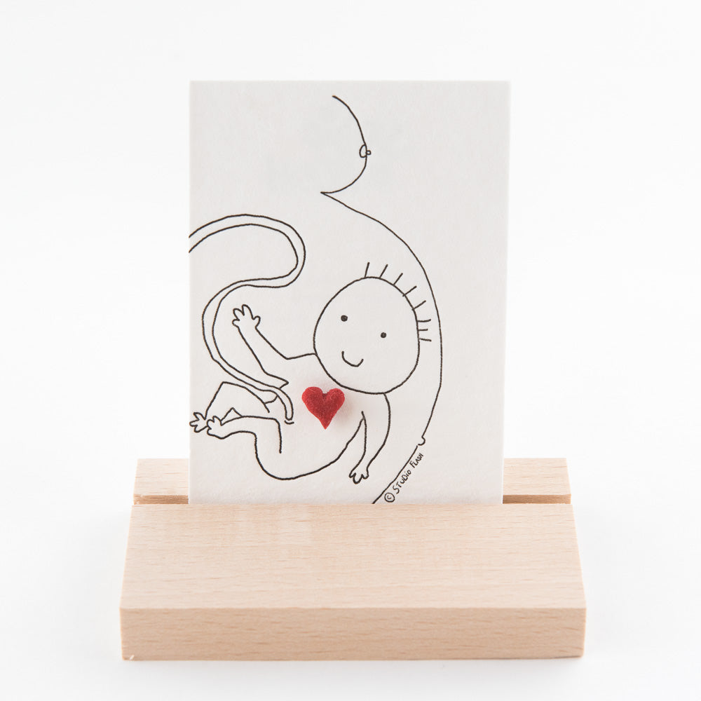 Letterpress card & pin 'baby belly'